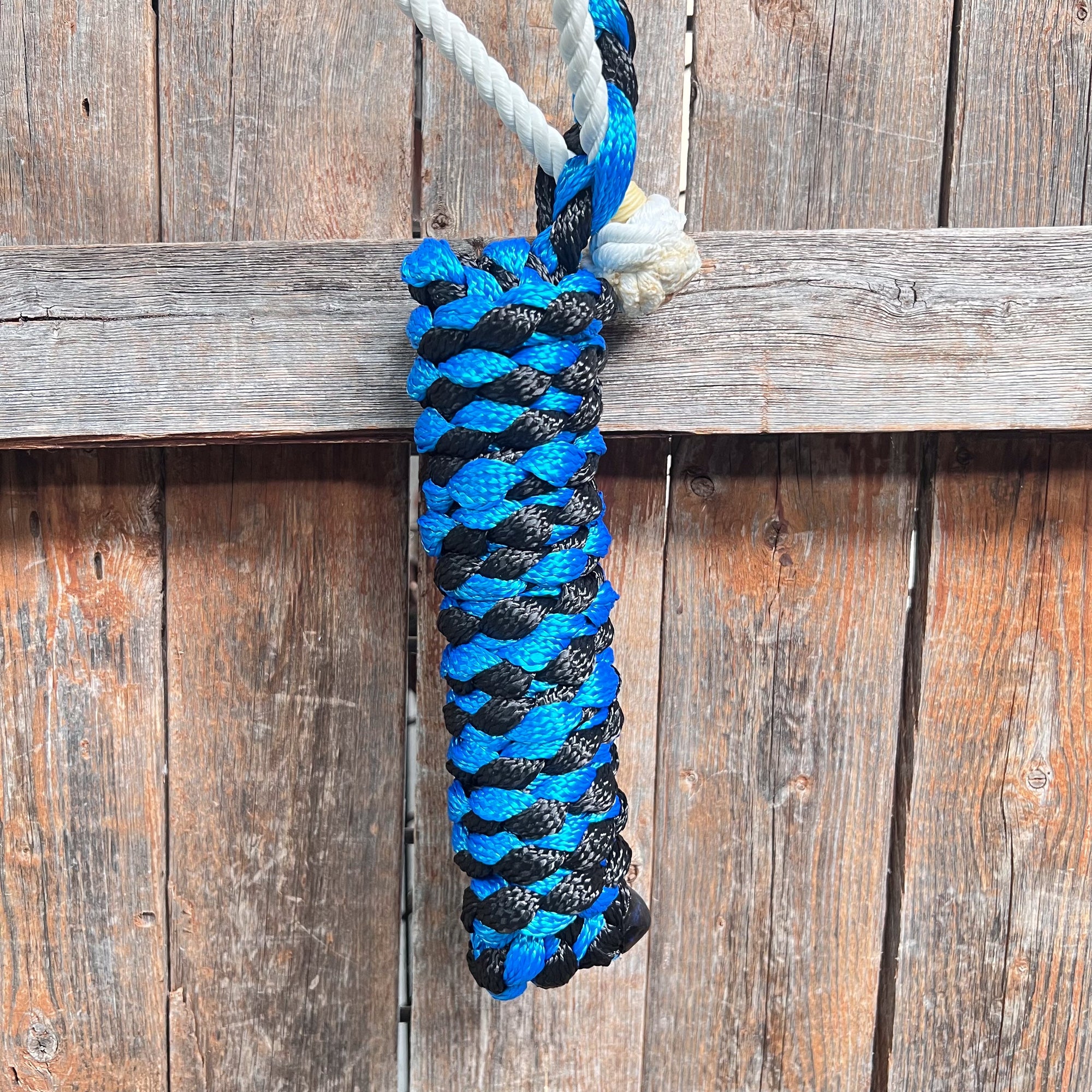 Blue and Black Mule Tape Halter with Lariat Noseband