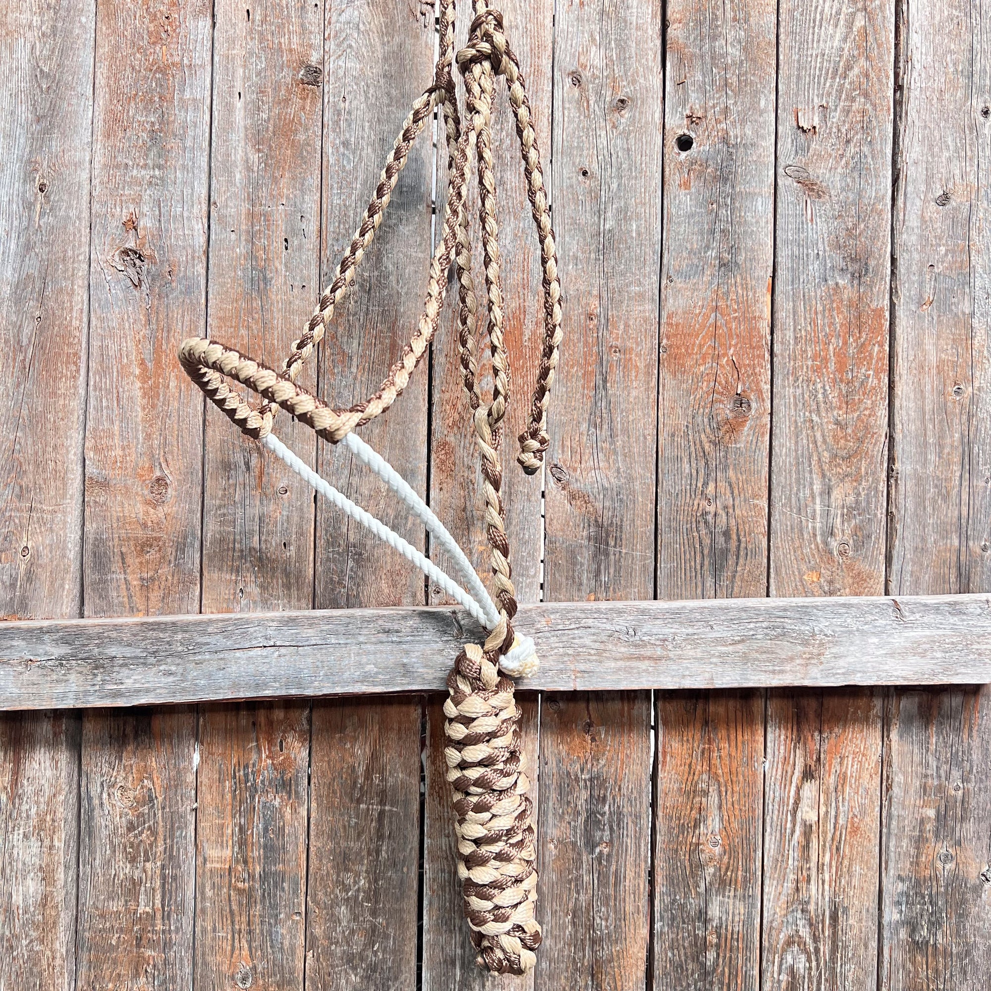 Lariat Mule Tape Halters - Assorted Double Colors-