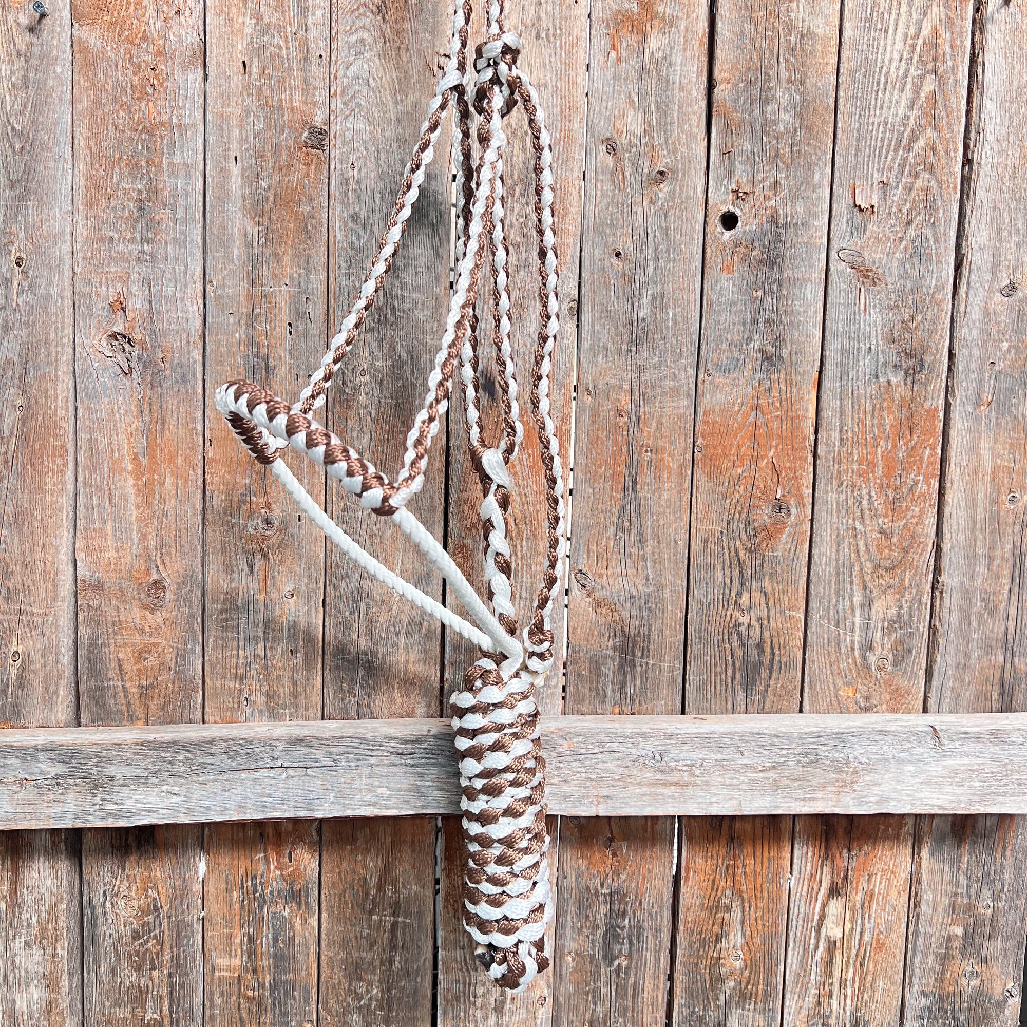 Brown and White Mule Tape Halter with Lariat Noseband