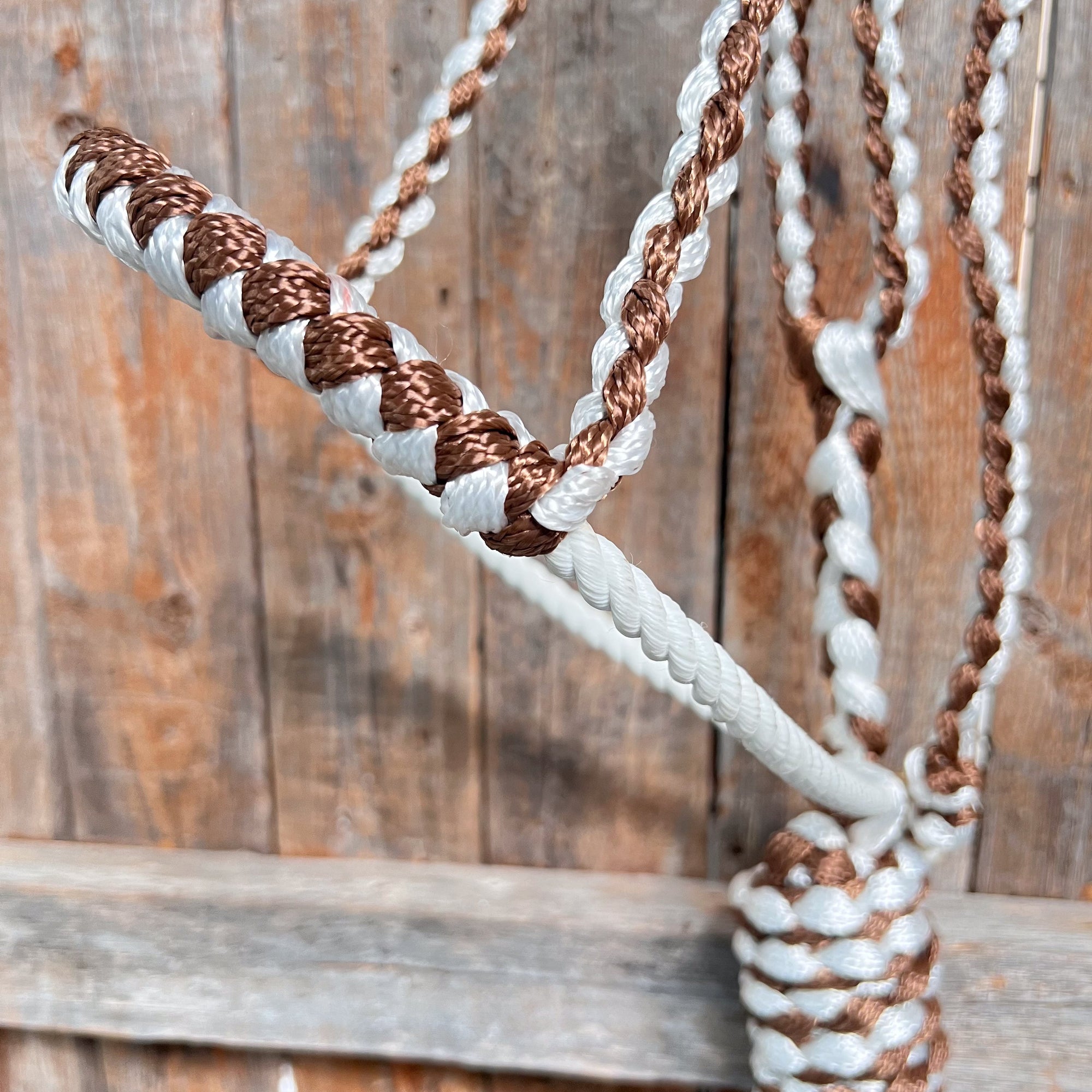 Brown and White Mule Tape Halter with Lariat Noseband
