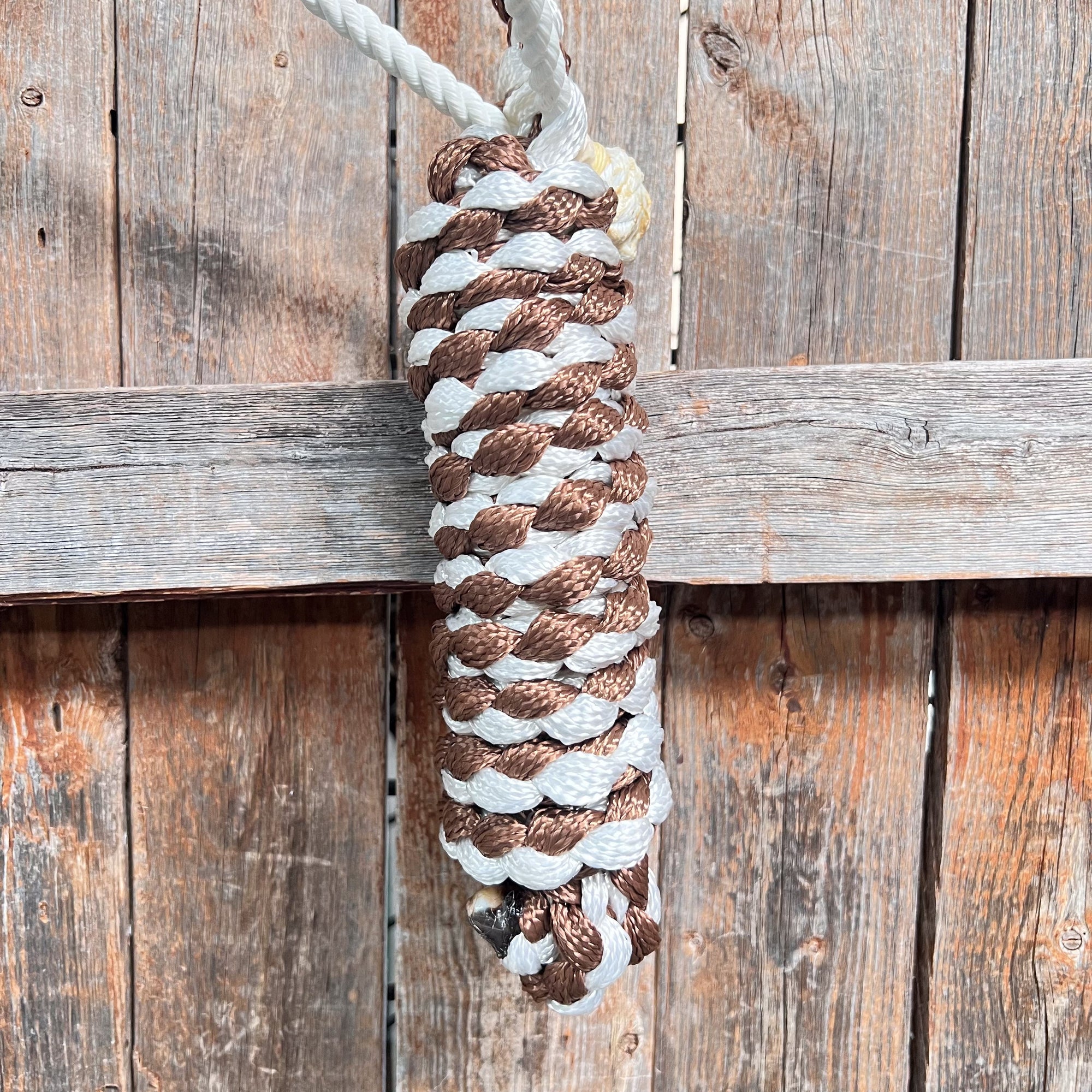 Brown and White Mule Tape Halter with Lariat Noseband