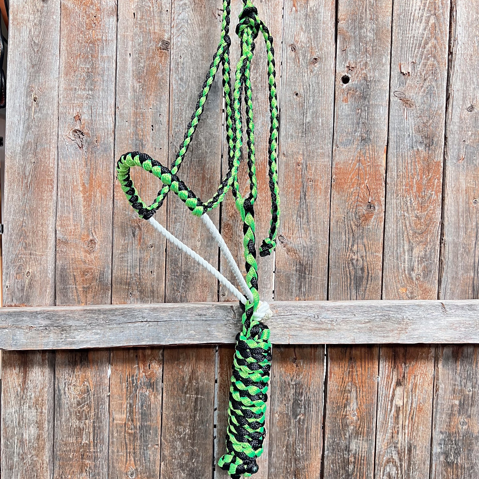 Green and Black Mule Tape Halter with Lariat Noseband