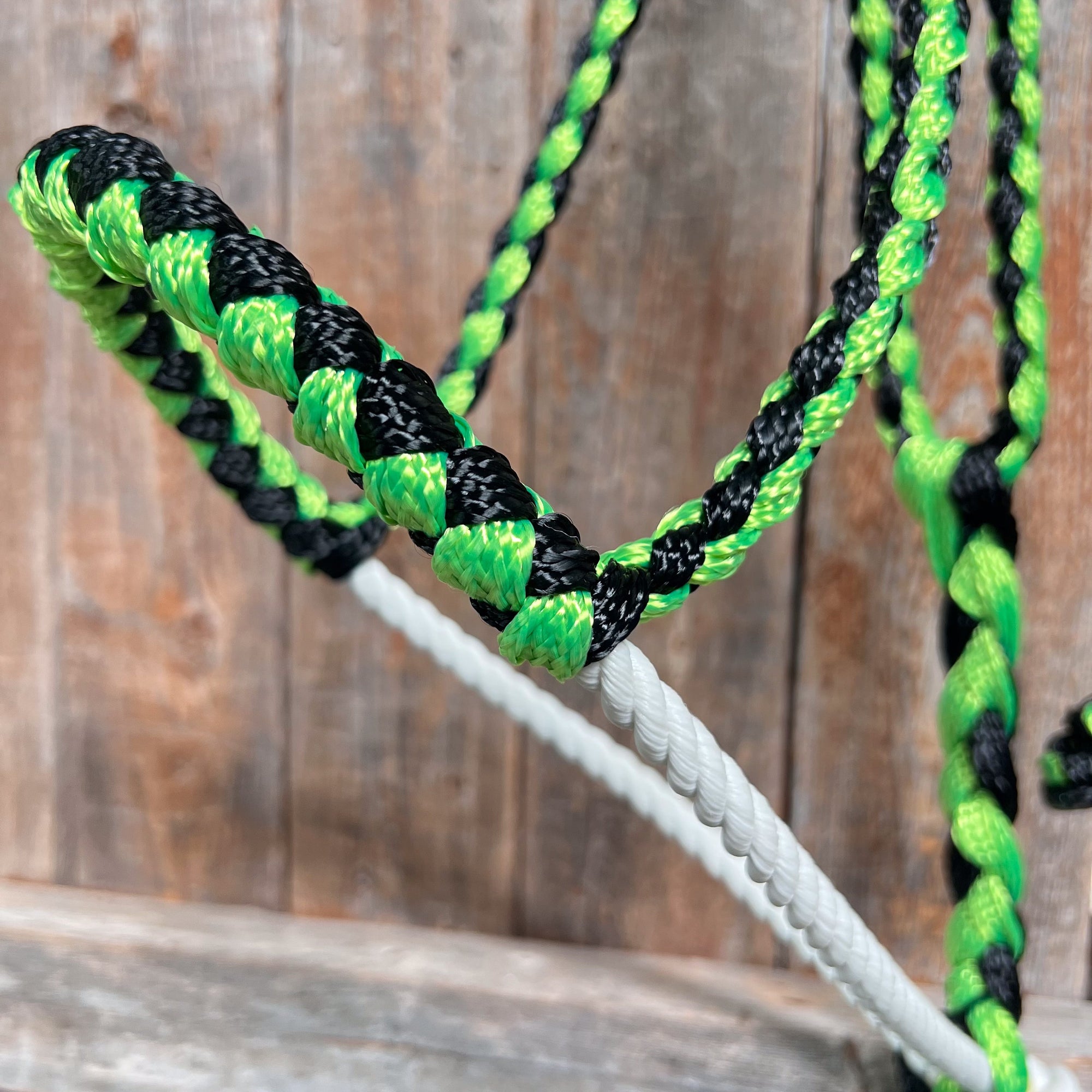 Green and Black Mule Tape Halter with Lariat Noseband