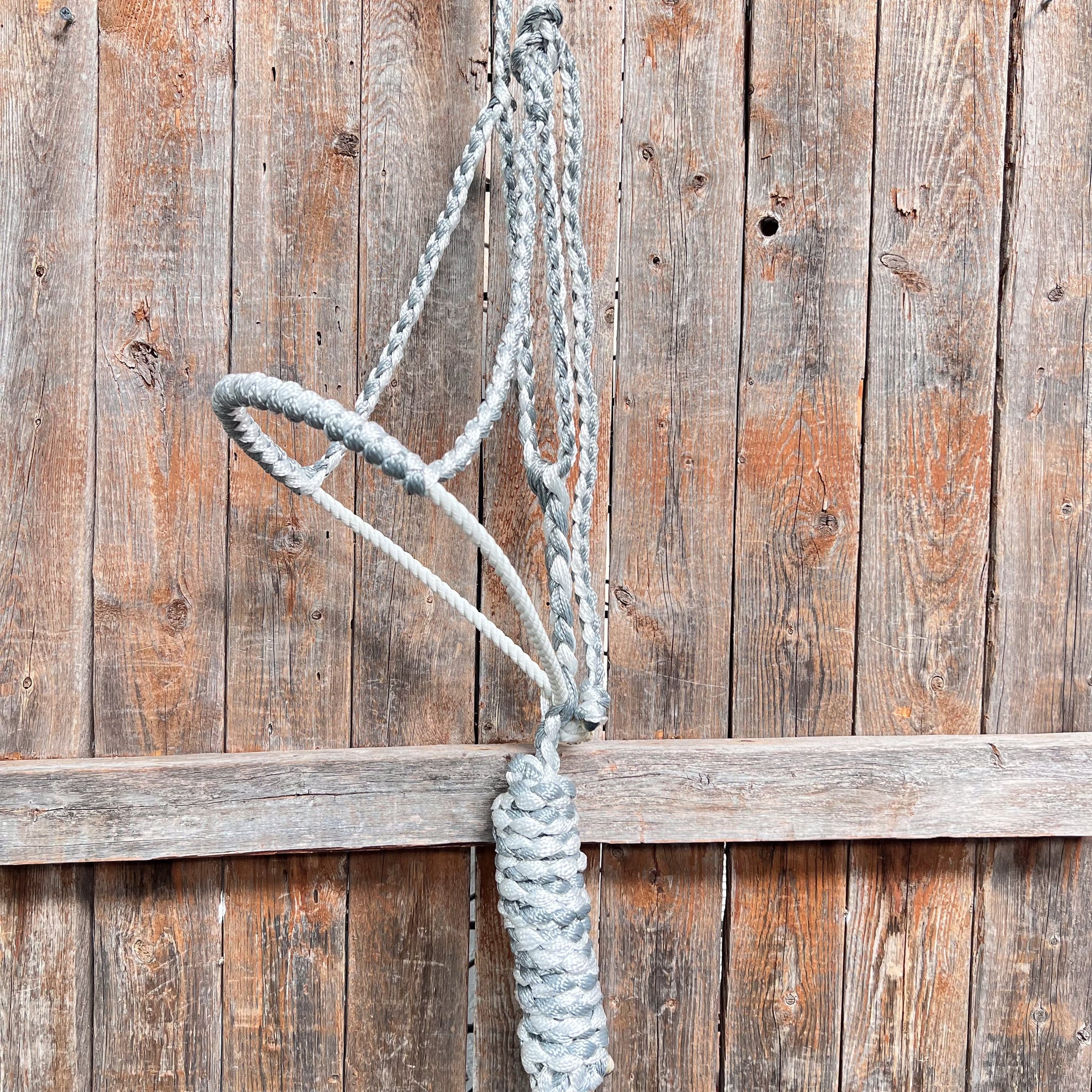 Grey and White Mule Tape Halter with Lariat Noseband