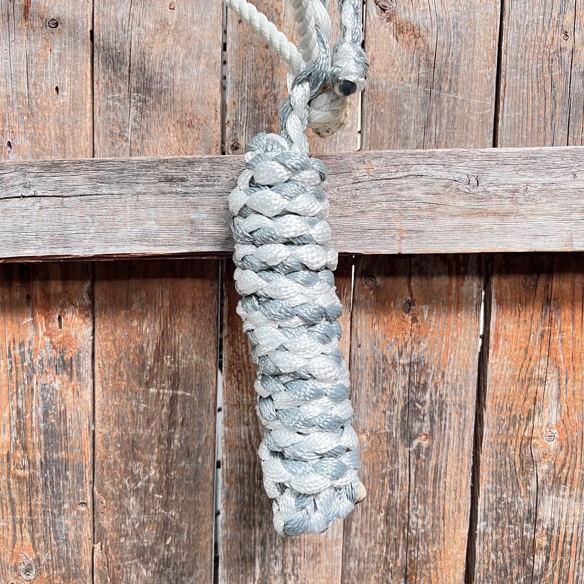 Grey and White Mule Tape Halter with Lariat Noseband