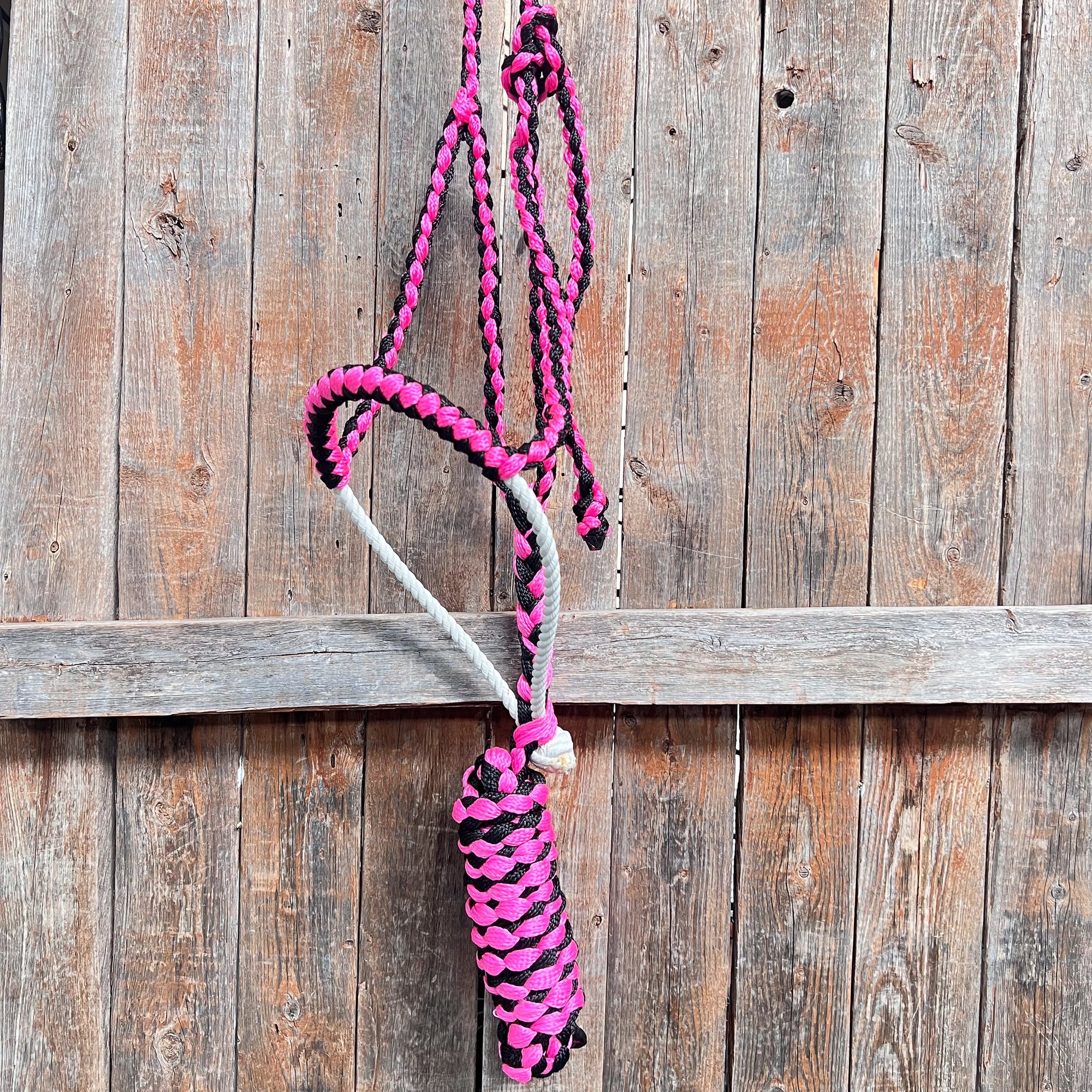Lariat Mule Tape Halters - Assorted Double Colors-