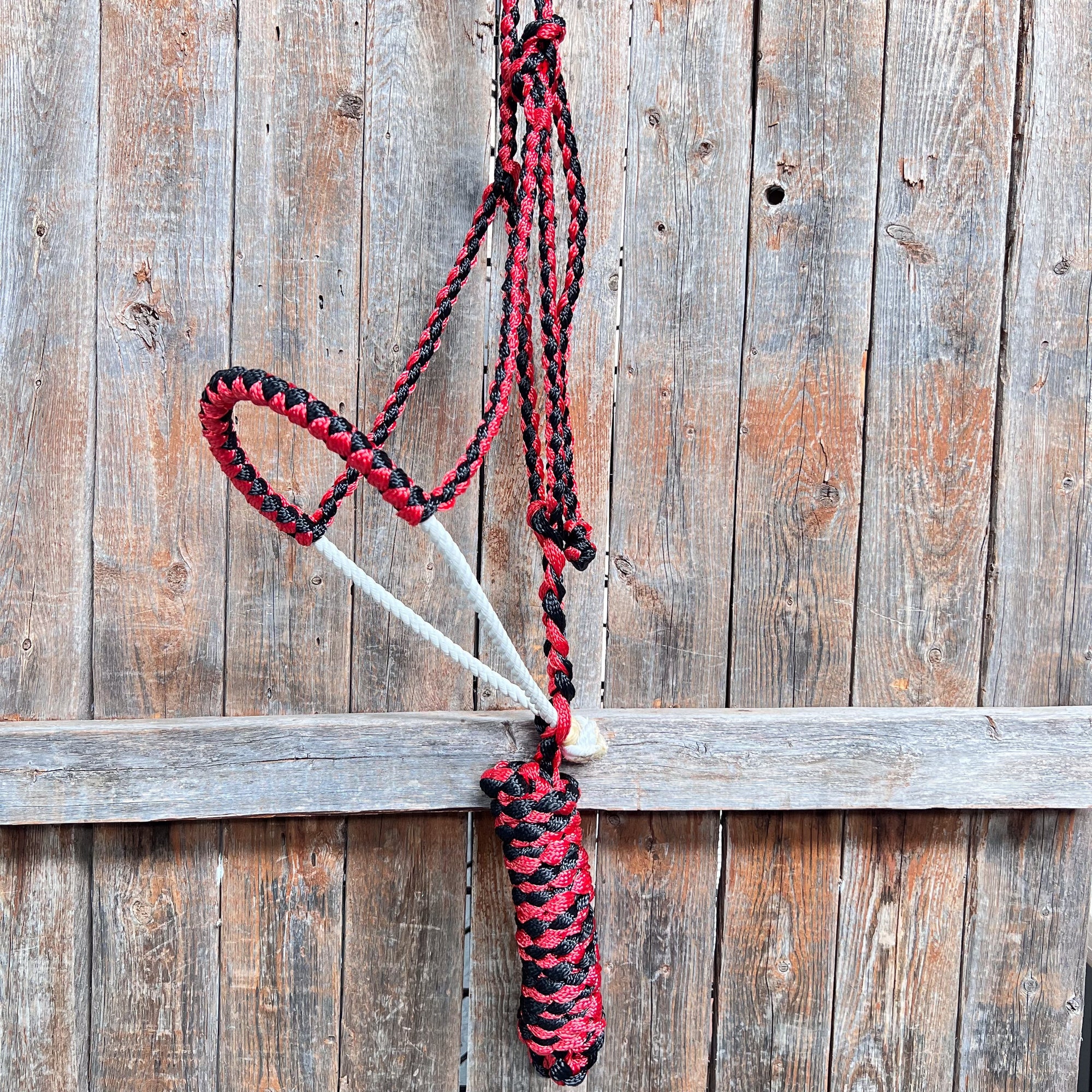 Red and Black Mule Tape Halter with Lariat Noseband