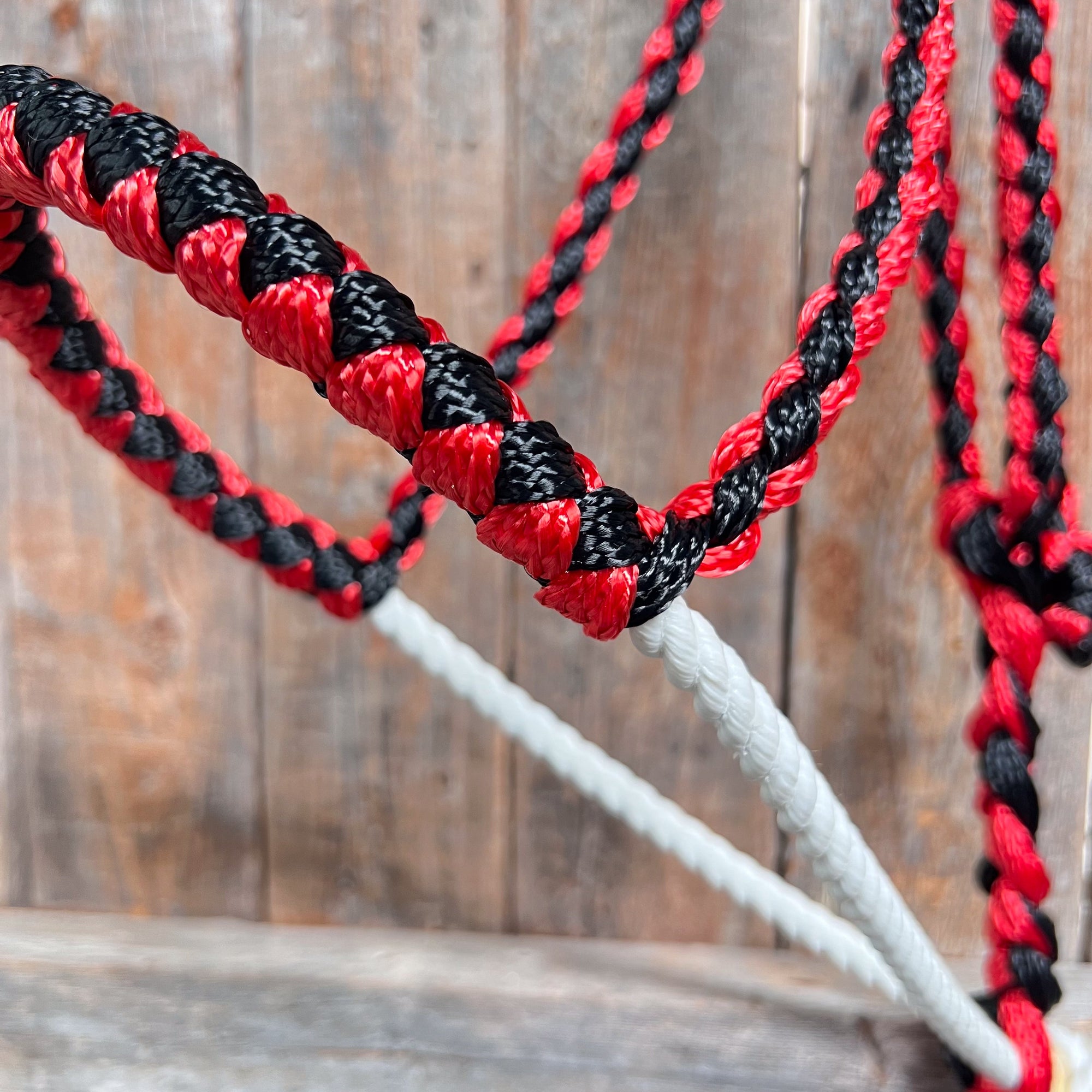 Red and Black Mule Tape Halter with Lariat Noseband