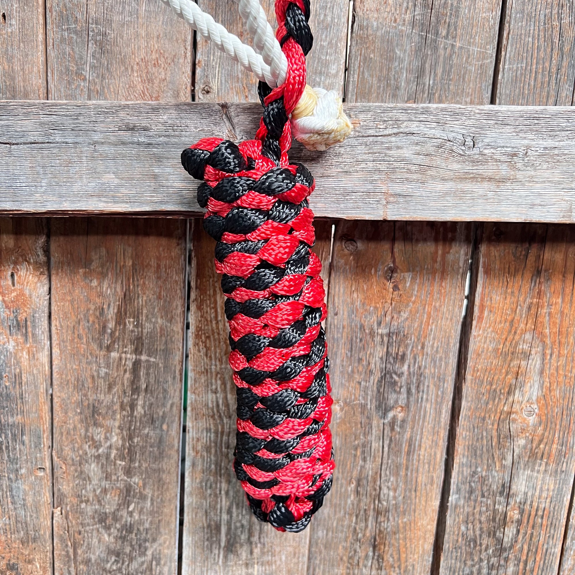 Red and Black Mule Tape Halter with Lariat Noseband