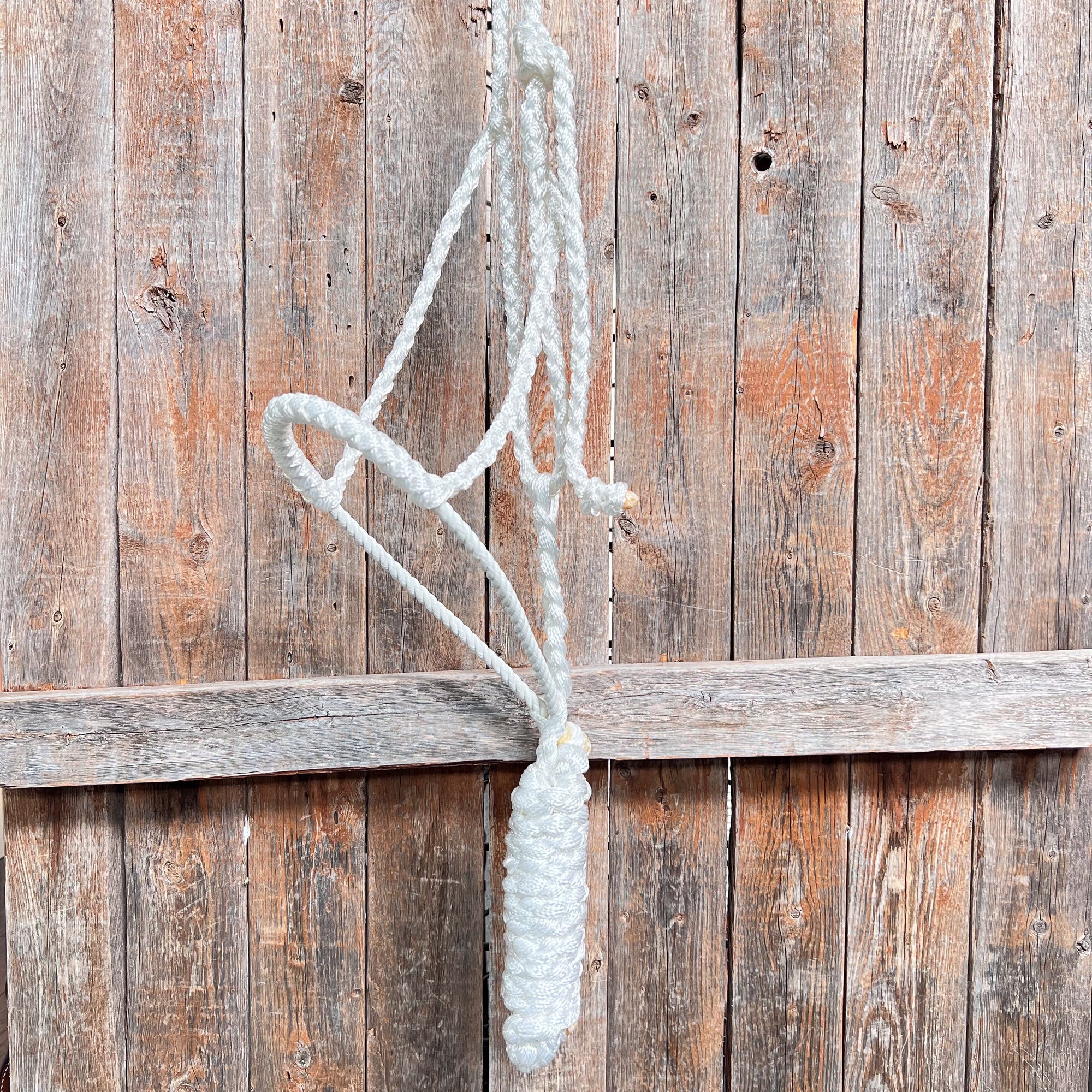 White Mule Tape Halter with Lariat Noseband