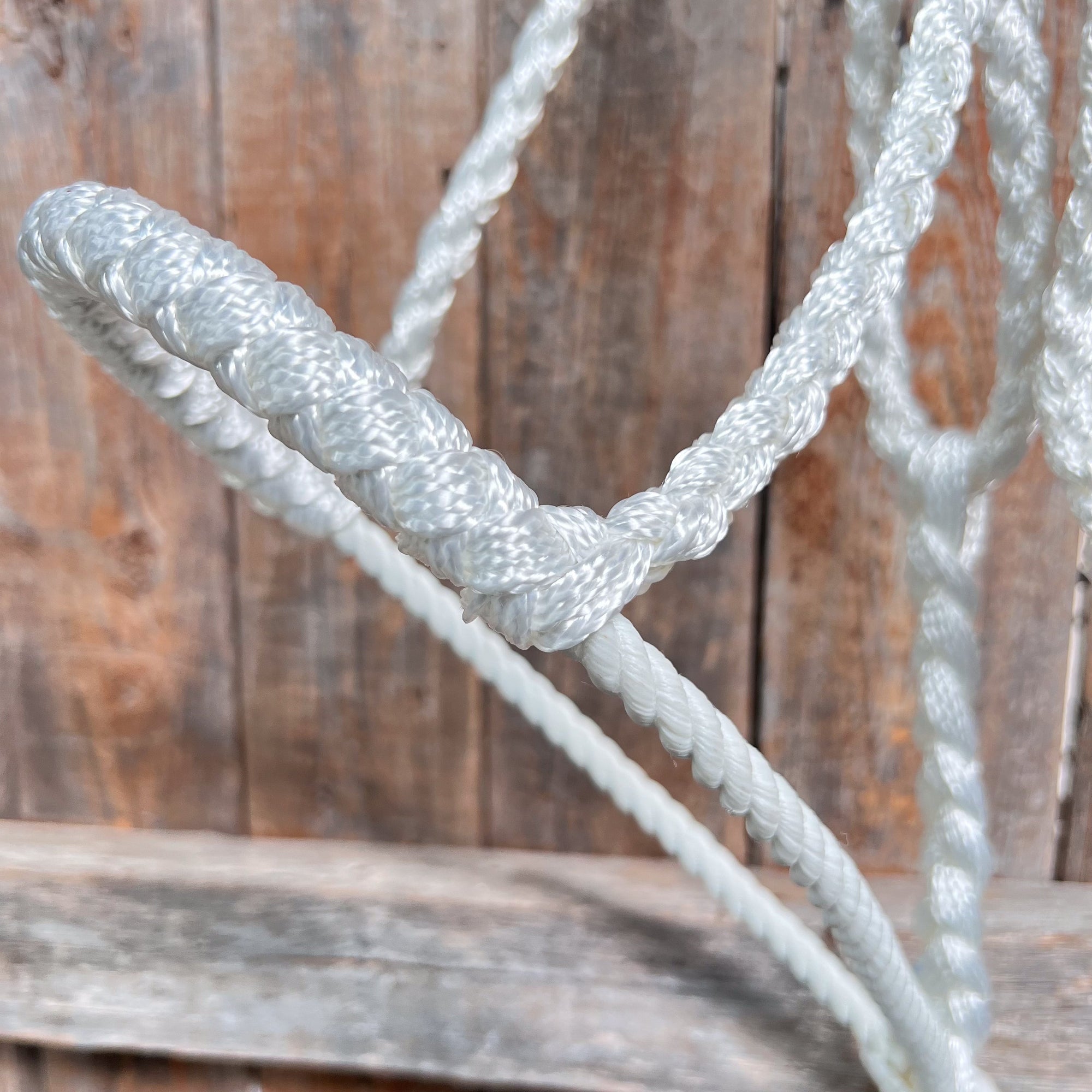 White Mule Tape Halter with Lariat Noseband