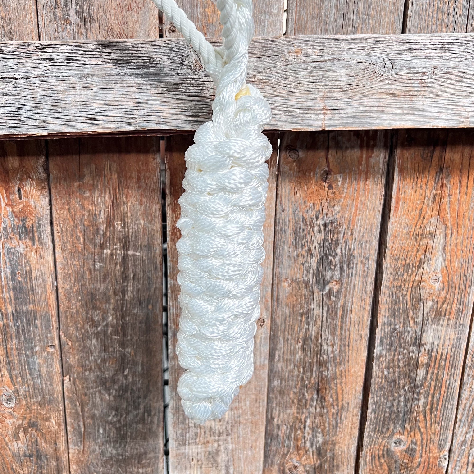 White Mule Tape Halter with Lariat Noseband