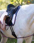 Limited Edition TEAM USA Satin Classic Dressage Saddle Pad (Cob)