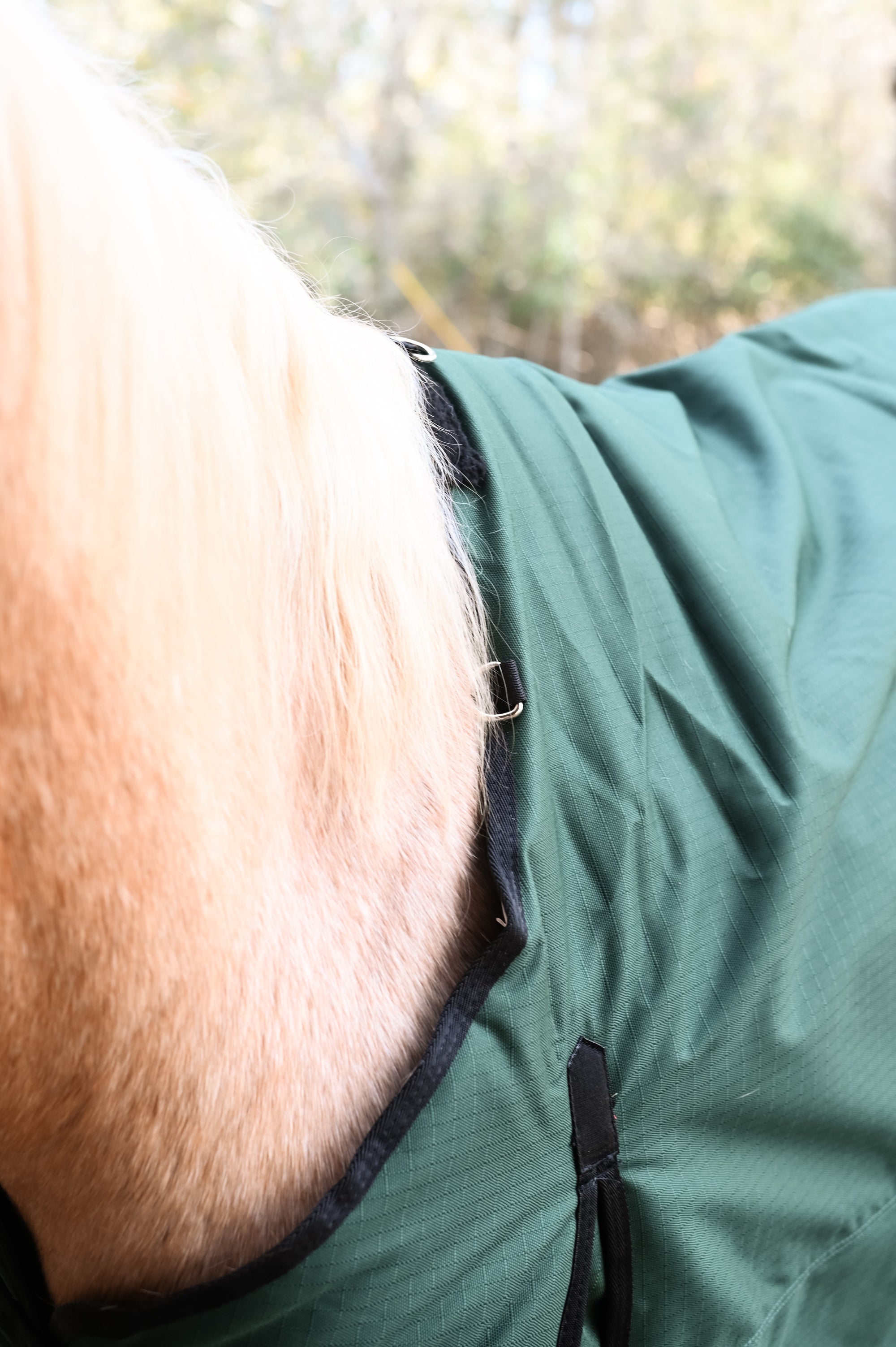 AJ Tack 1200D Waterproof Turnout Horse Blanket 400g - Green