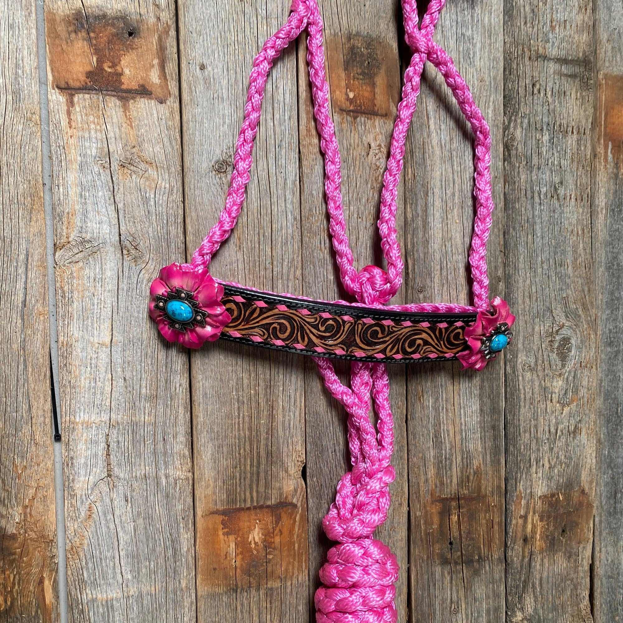 Pink Mule Tape Halter - Turquoise 