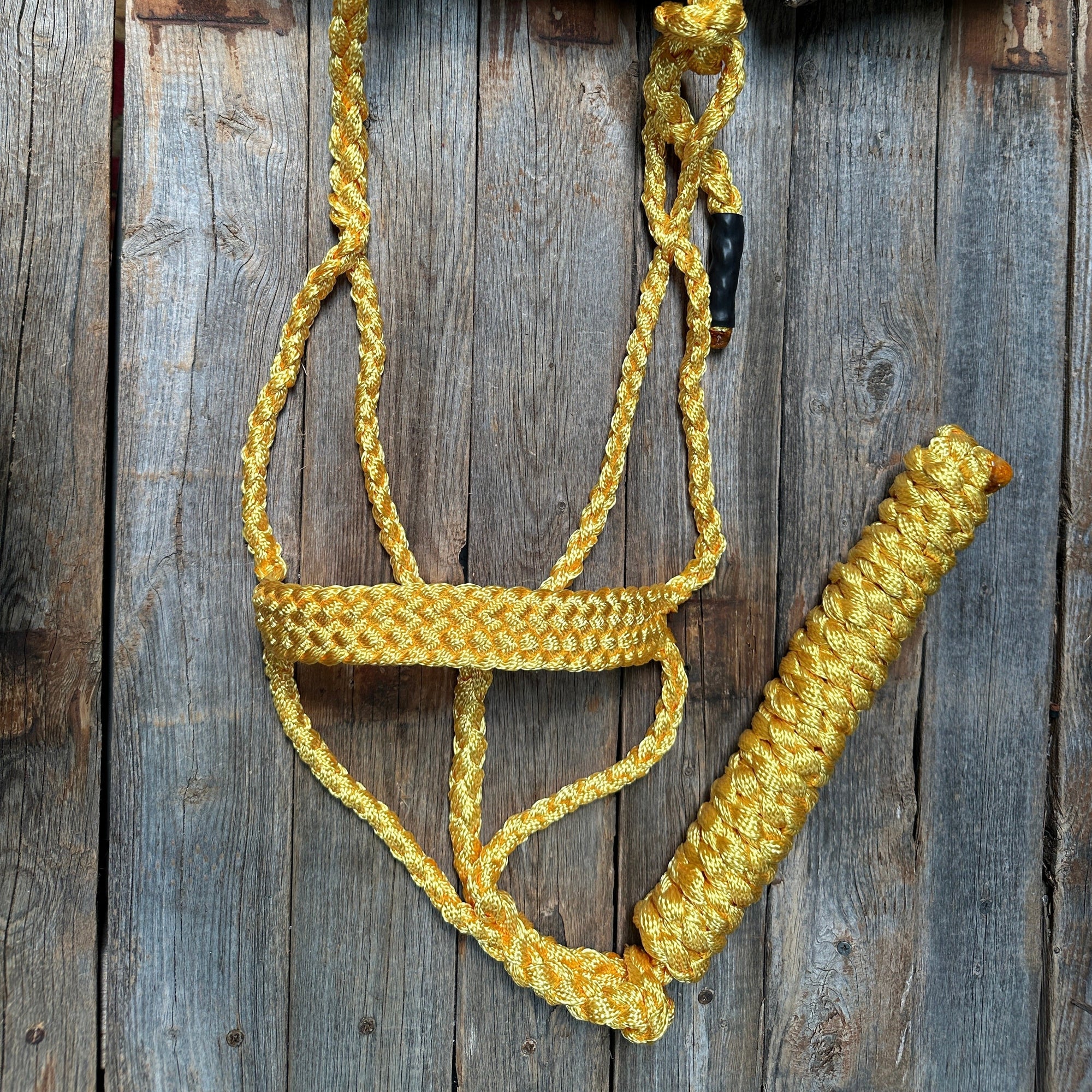 Mule Tape Halters - Assorted Colors-