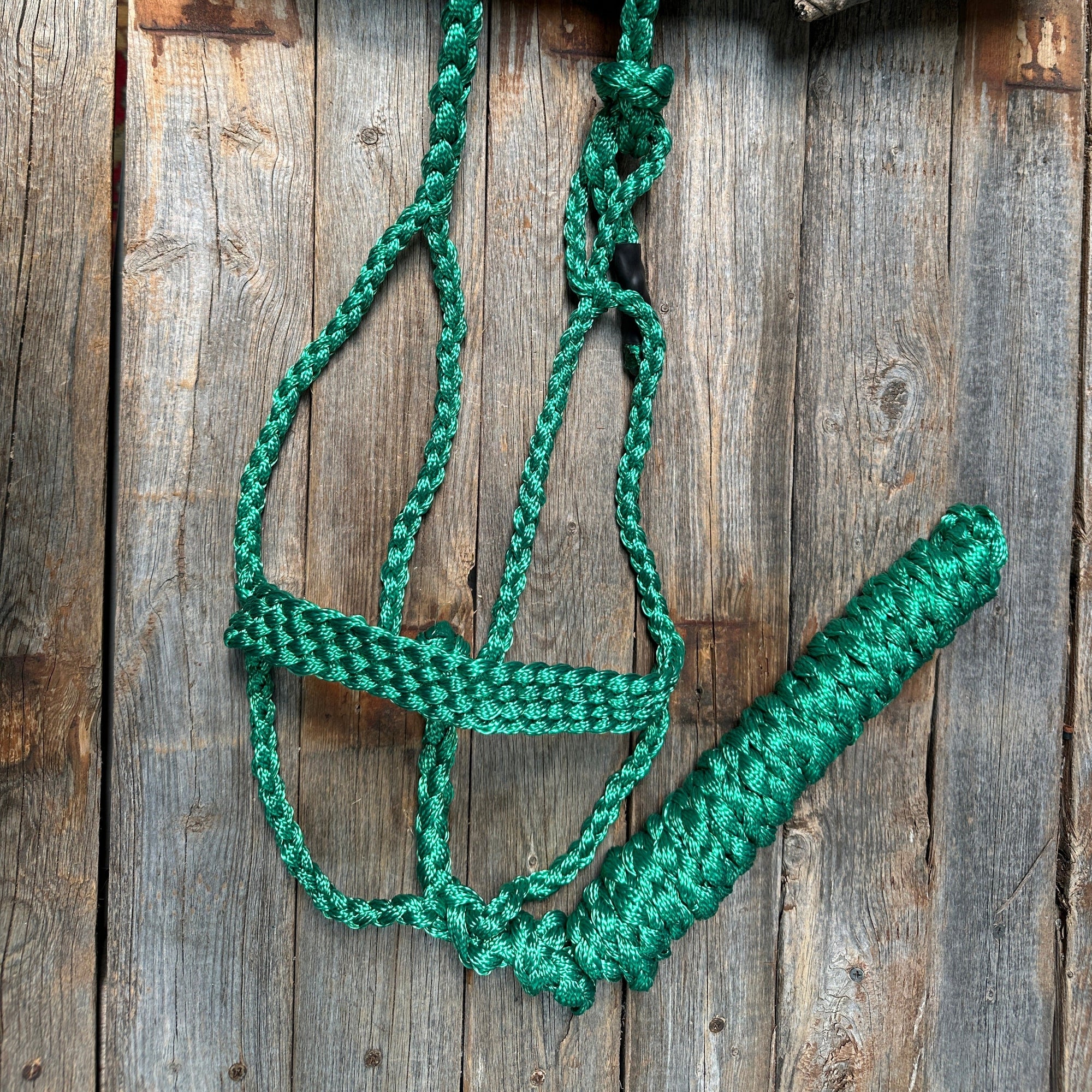 Mule Tape Halters - Assorted Colors-