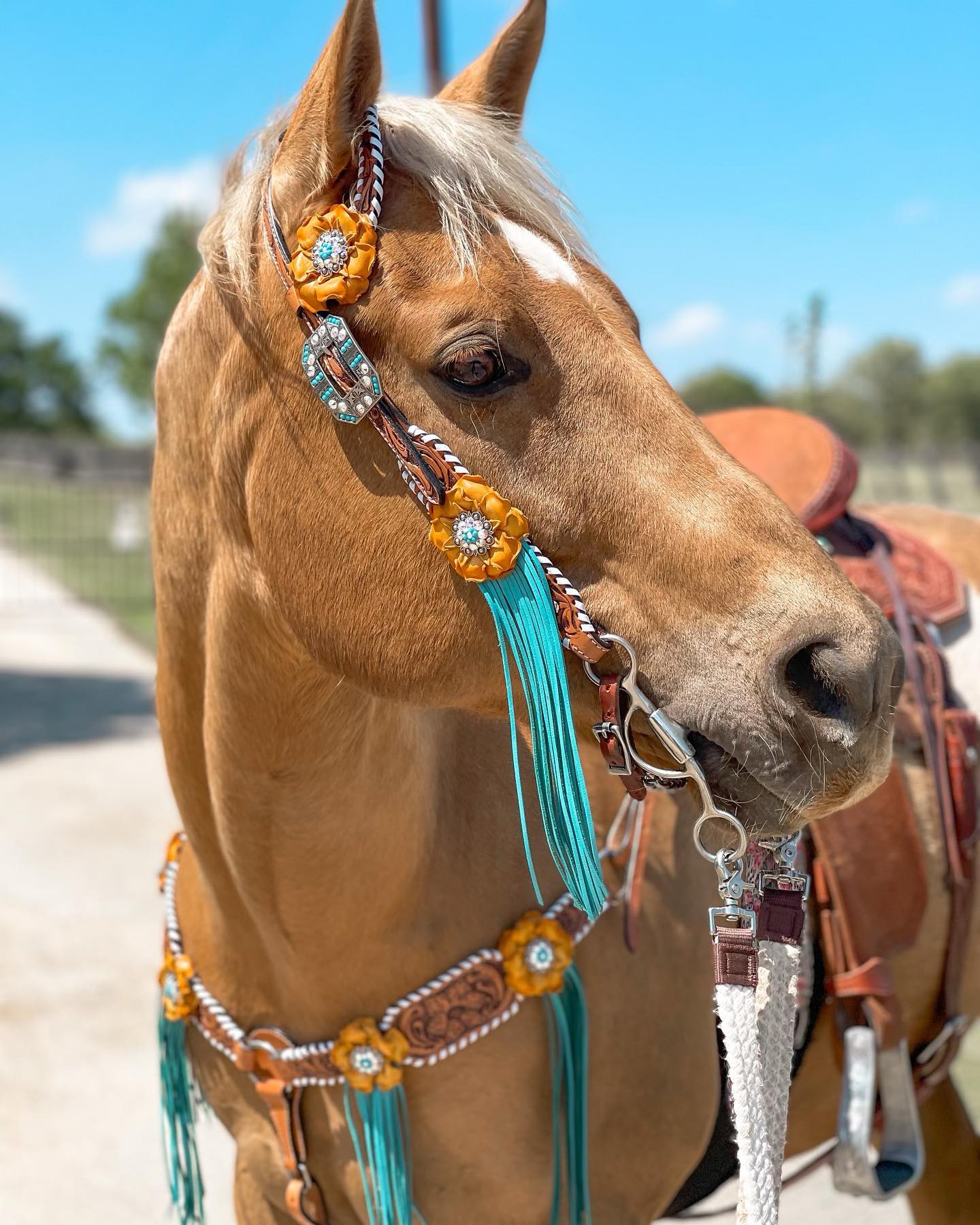 White Whipstitch Yellow and Turquoise Browband/One Ear Headstall &amp; Breastcollar Tack Set 