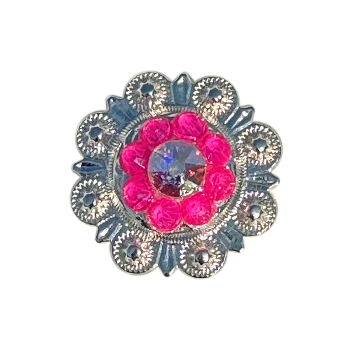 Neon Pink and AB  Bright Silver 1" European Crystal Concho