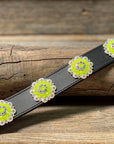 DC18- Neon Concho Dog Collar