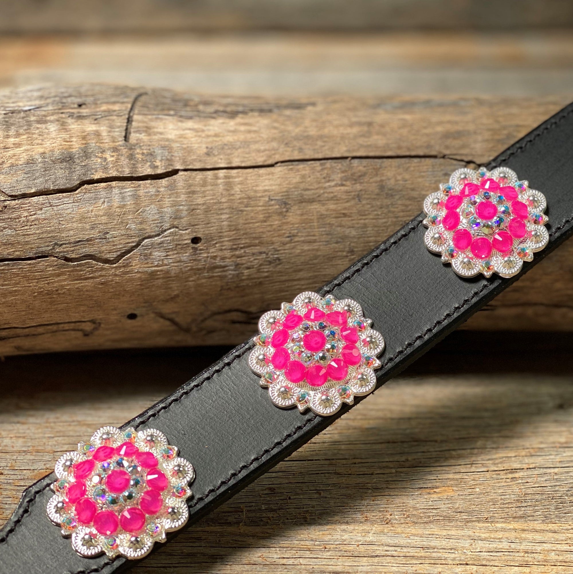 DC18- Neon Concho Dog Collar