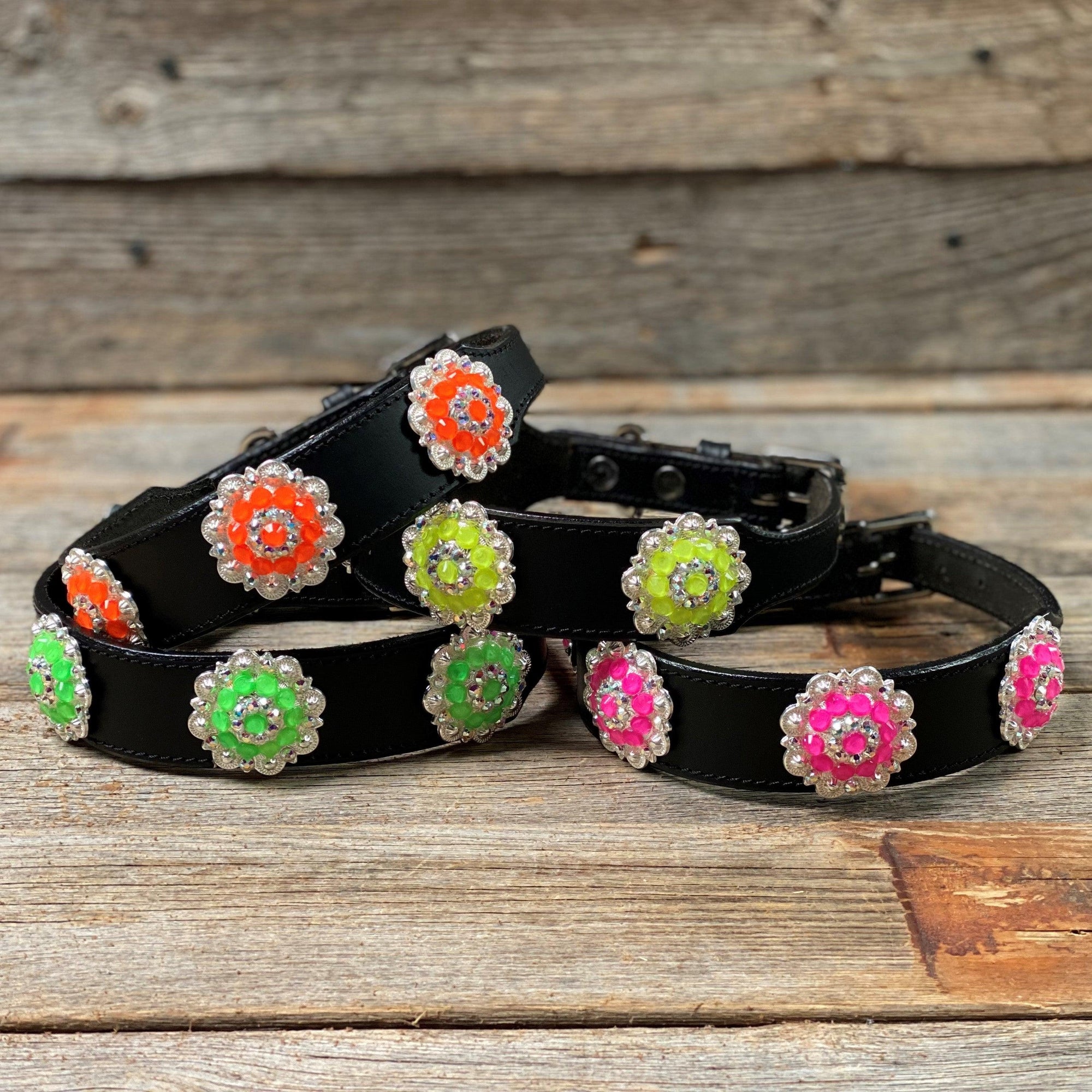 DC18- Neon Concho Dog Collar