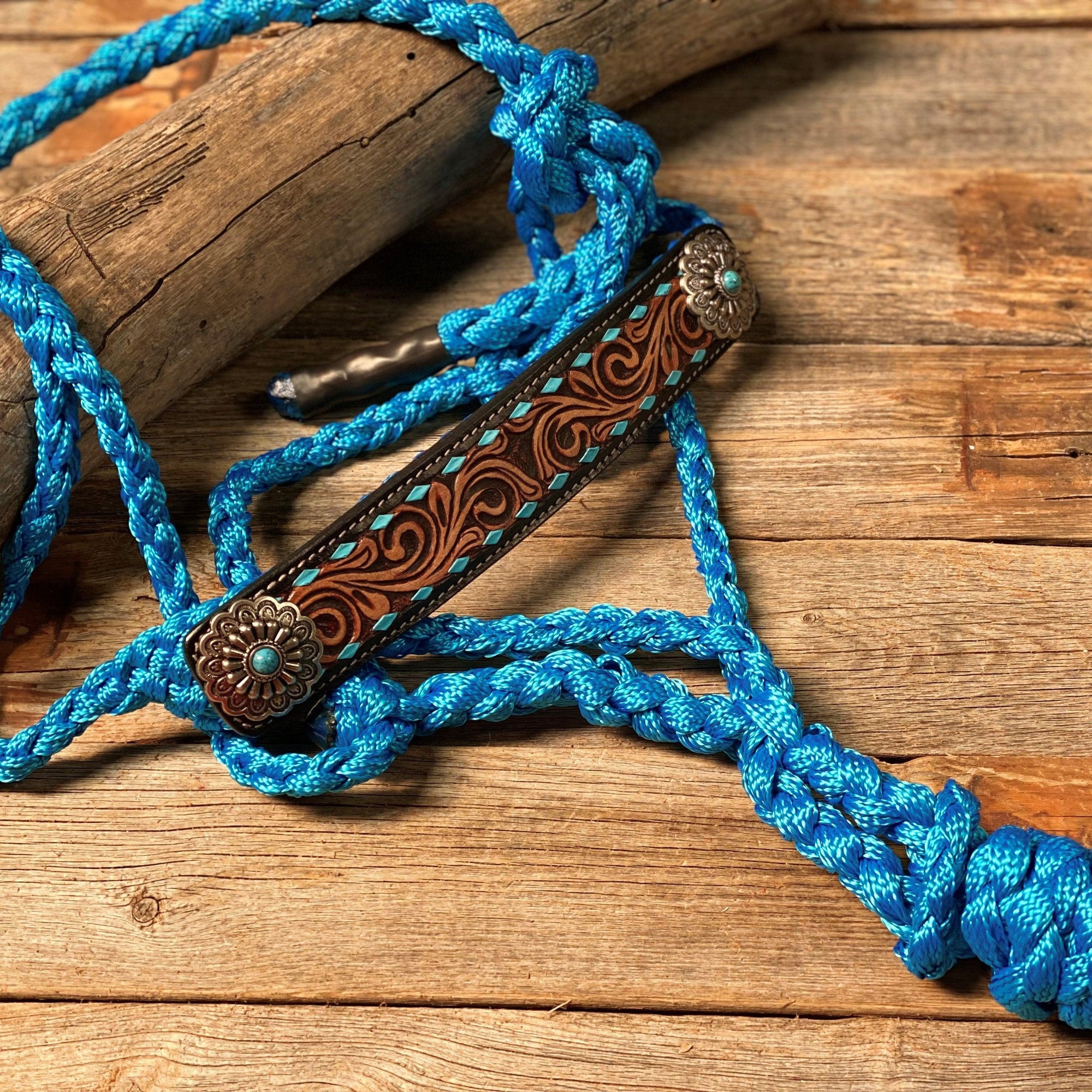 Blue Mule Tape Halter - Turquoise 