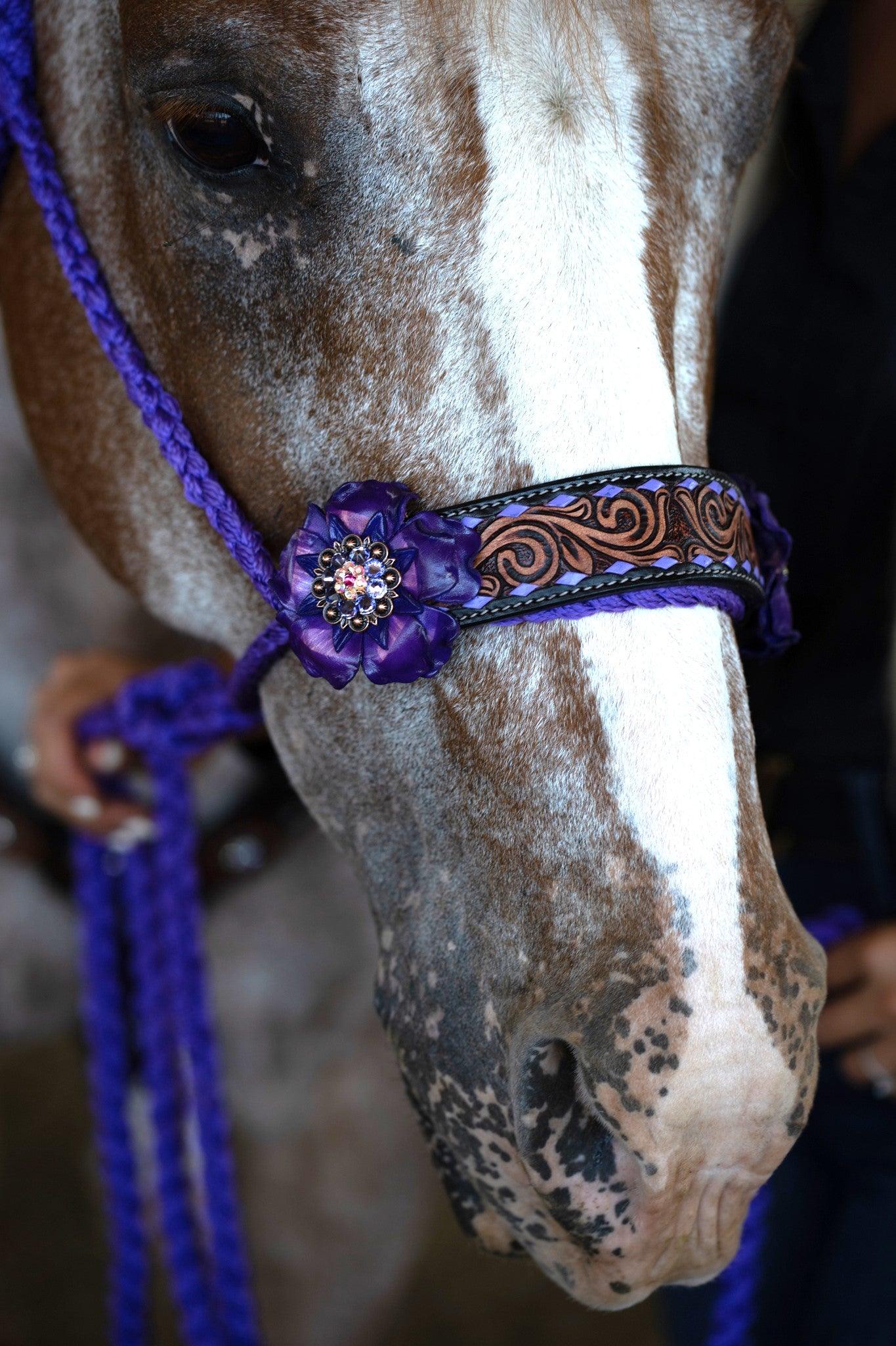Purple Mule Tape Halter - Purple Gardenia 