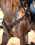 Hand Painted Paisley - Copper AB Rosette One Ear/ Breastcollar Tack Set 