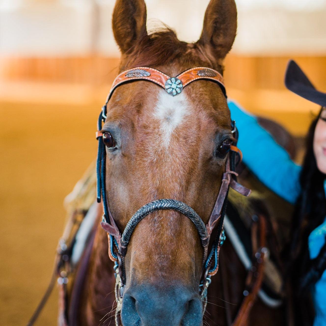Light Oil V Brow Turquoise and Copper Browband &amp; Breastcollar Tack Set 