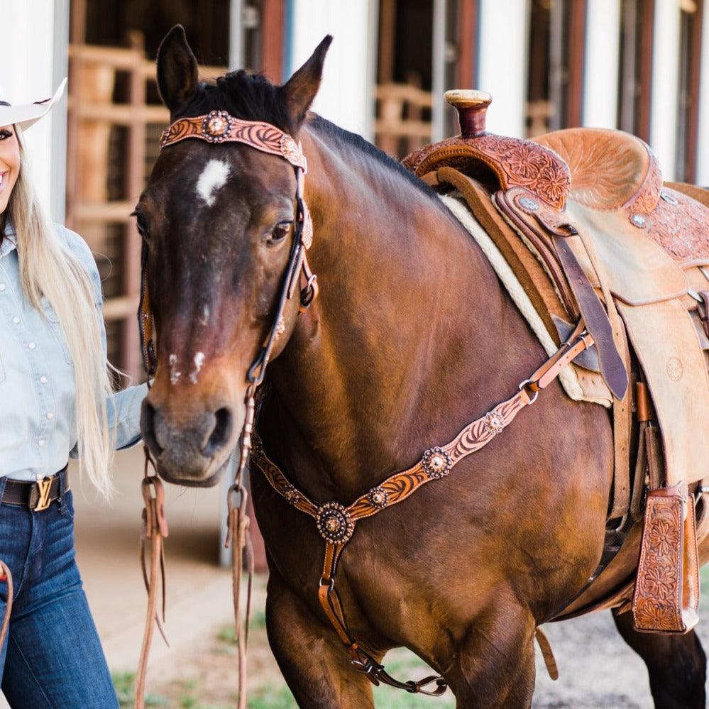 Zebra Jet and Topaz Browband / Breastcollar Tack Set 