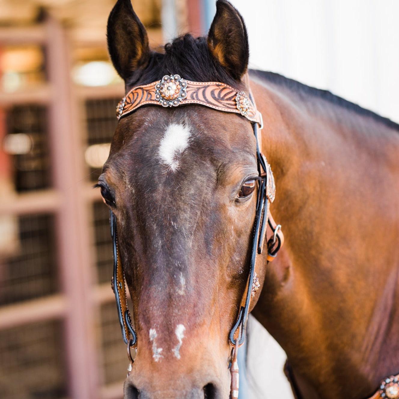 Zebra Jet and Topaz Browband / Breastcollar Tack Set 