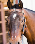 Zebra Jet and Topaz Browband / Breastcollar Tack Set 
