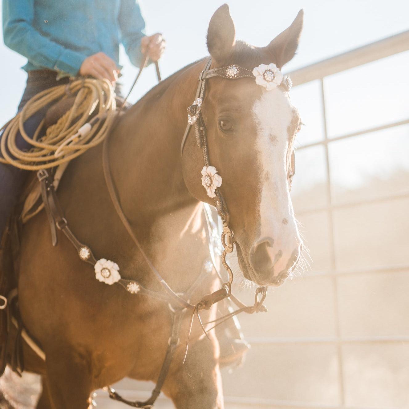 Dark Oil Basketweave White Browband/One Ear Tack Set with Witherstrap  