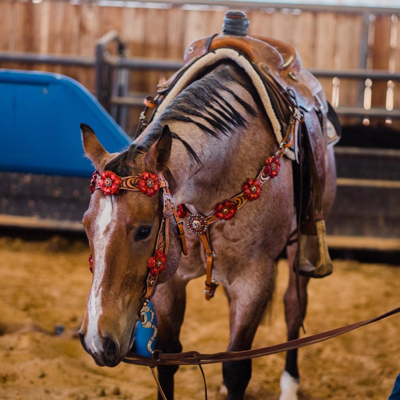 Zebra Ruby Browband / Breastcollar Tack Set 