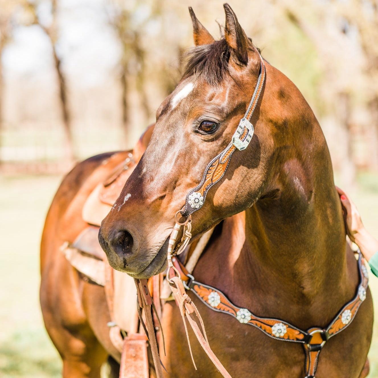 Two Tone Leaf Jet and Clear One Ear &amp; Breastcollar Tack Set 