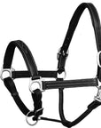 ExionPro Triple Stitched Leather Halter - Brass Nickel Hardware