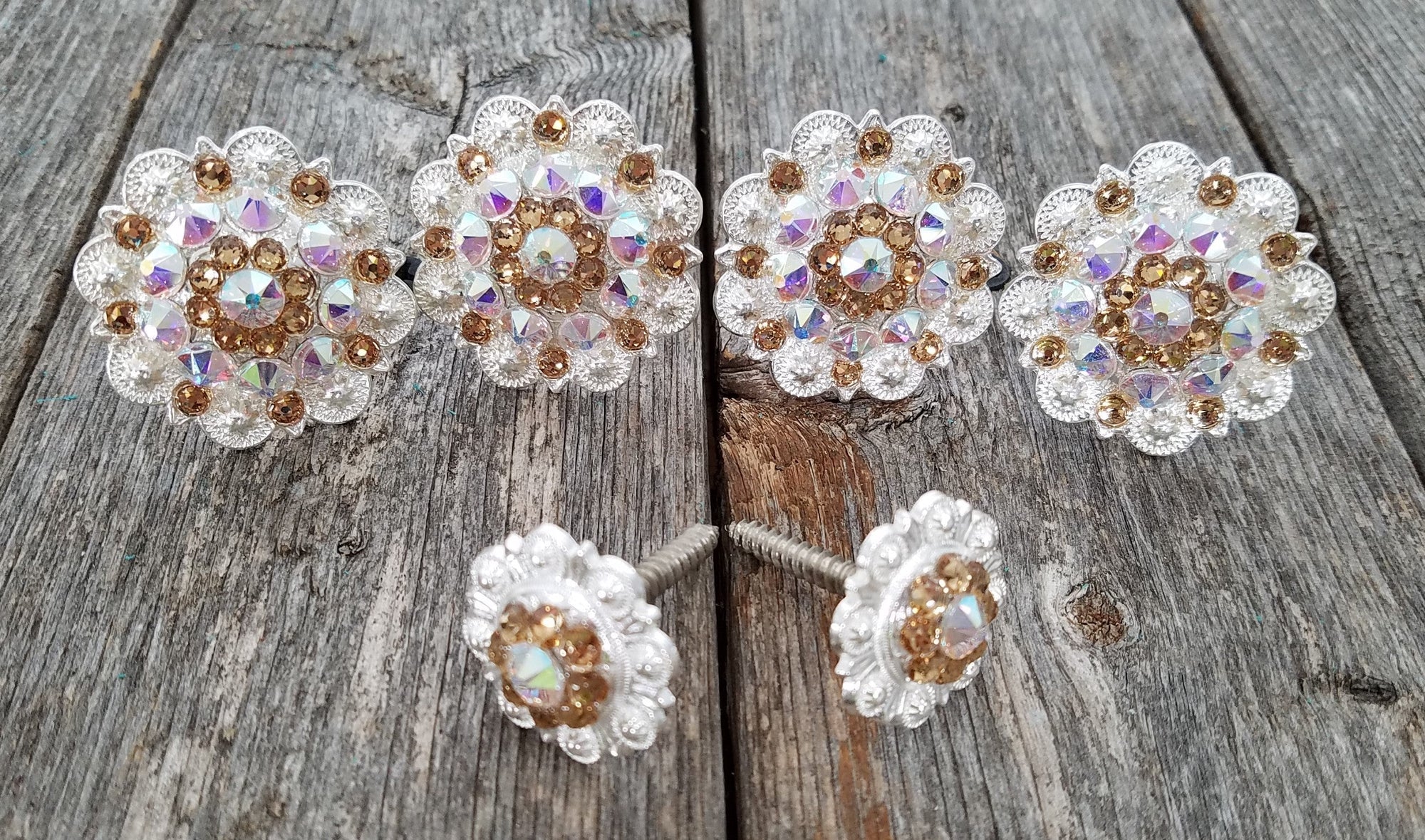 Bright Silver Champagne &amp; AB Saddle Conchos