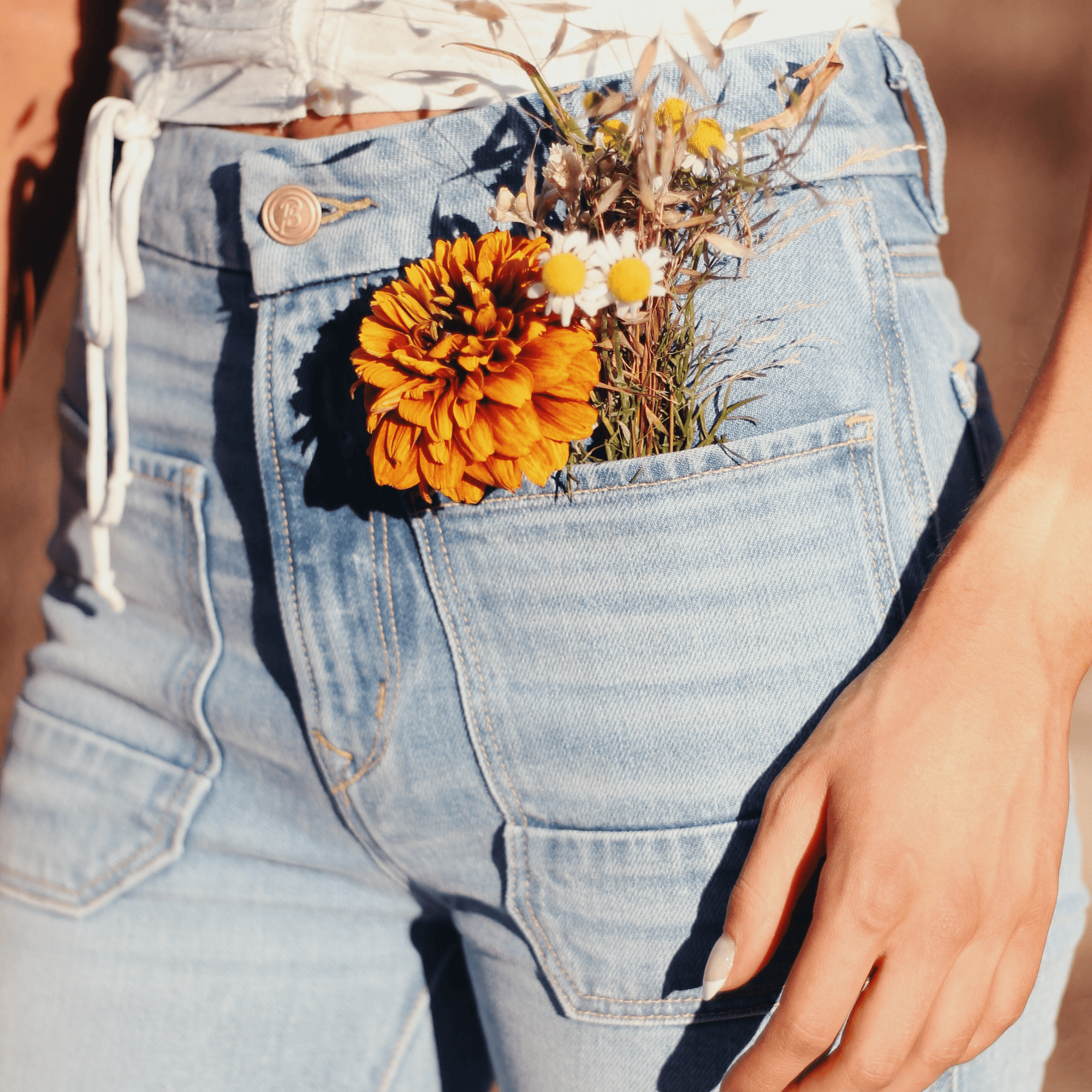 The Wanderer Flare - Gracie