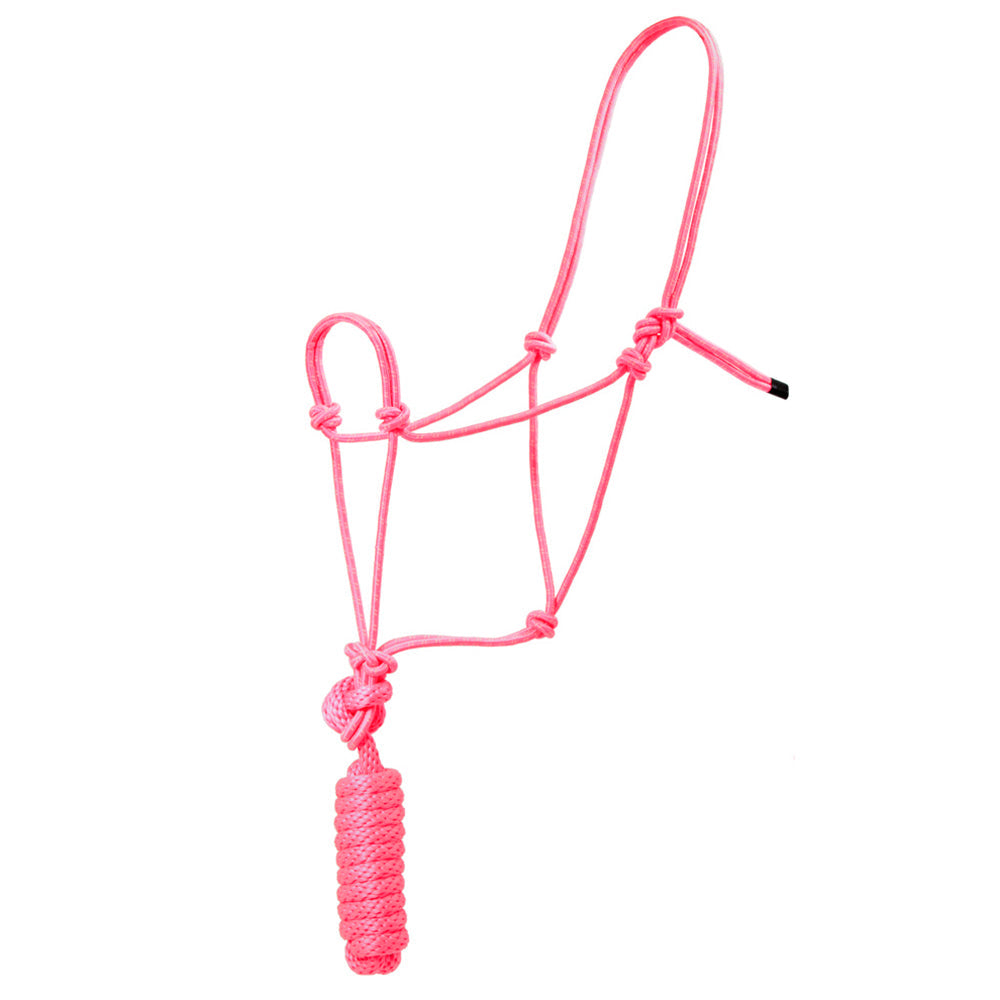 Hilason Basic Two-Toned Poly Rope Halter with 8' Lead – Durable, Lightweight &amp; Hardware-Free