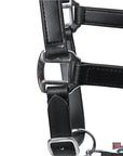 Hilason Western Horse Genuine Leather Halter with Adjustable Fit Durable Hardware Black