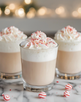 Sugar Free HOLIDAY Barista Syrup Trio