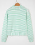 Reign Zip Collar Pullover Long Sleeve Top