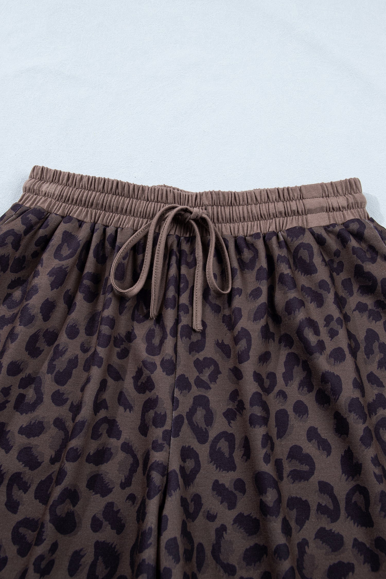 Leopard Collared V-Neck Top &amp; Shorts Set