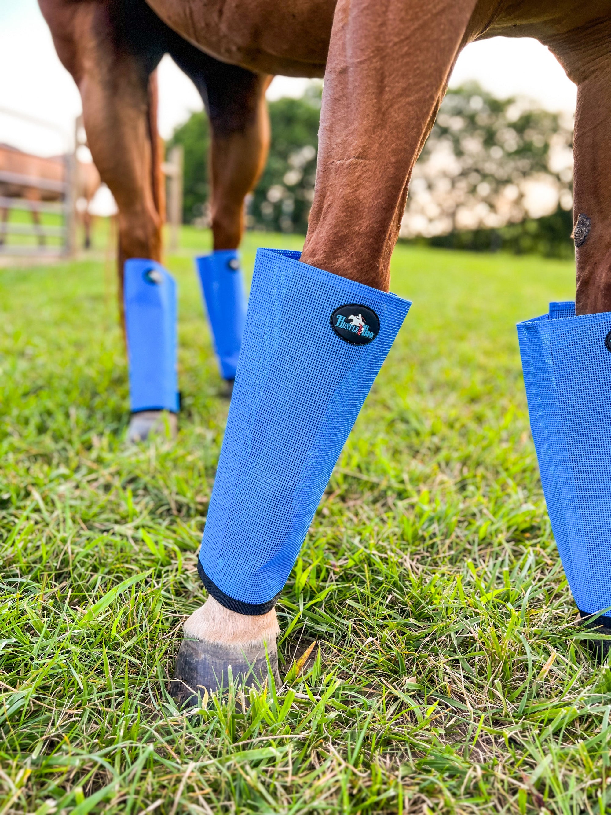 Fly Boots