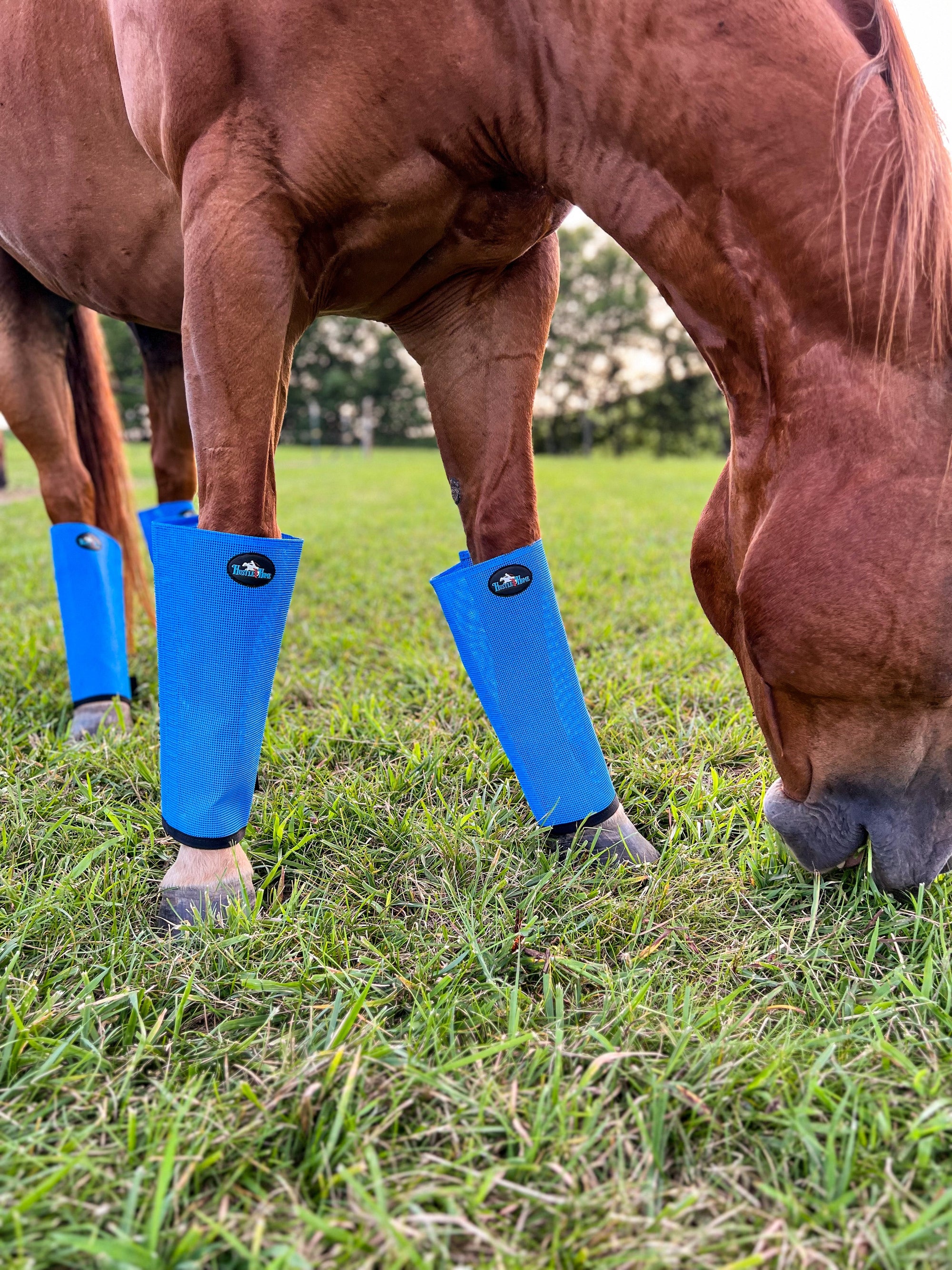 Fly Boots