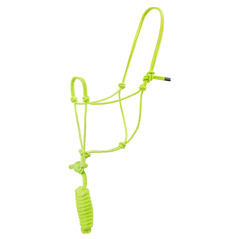 Hilason Basic Two-Toned Poly Rope Halter with 8' Lead – Durable, Lightweight &amp; Hardware-Free