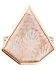 Lafayette Fossilized Coral Ring