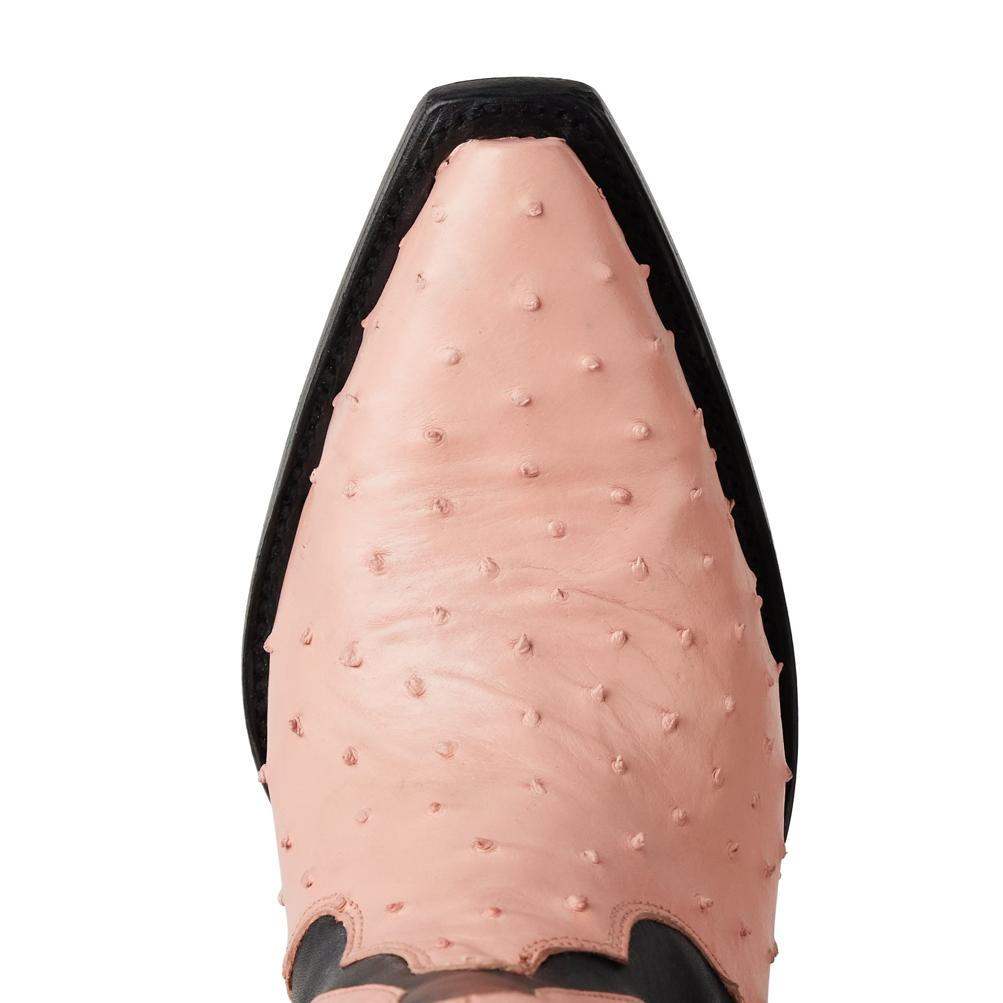 Jolene Exotic Boot - Blush Ostrich &amp; Jet Black