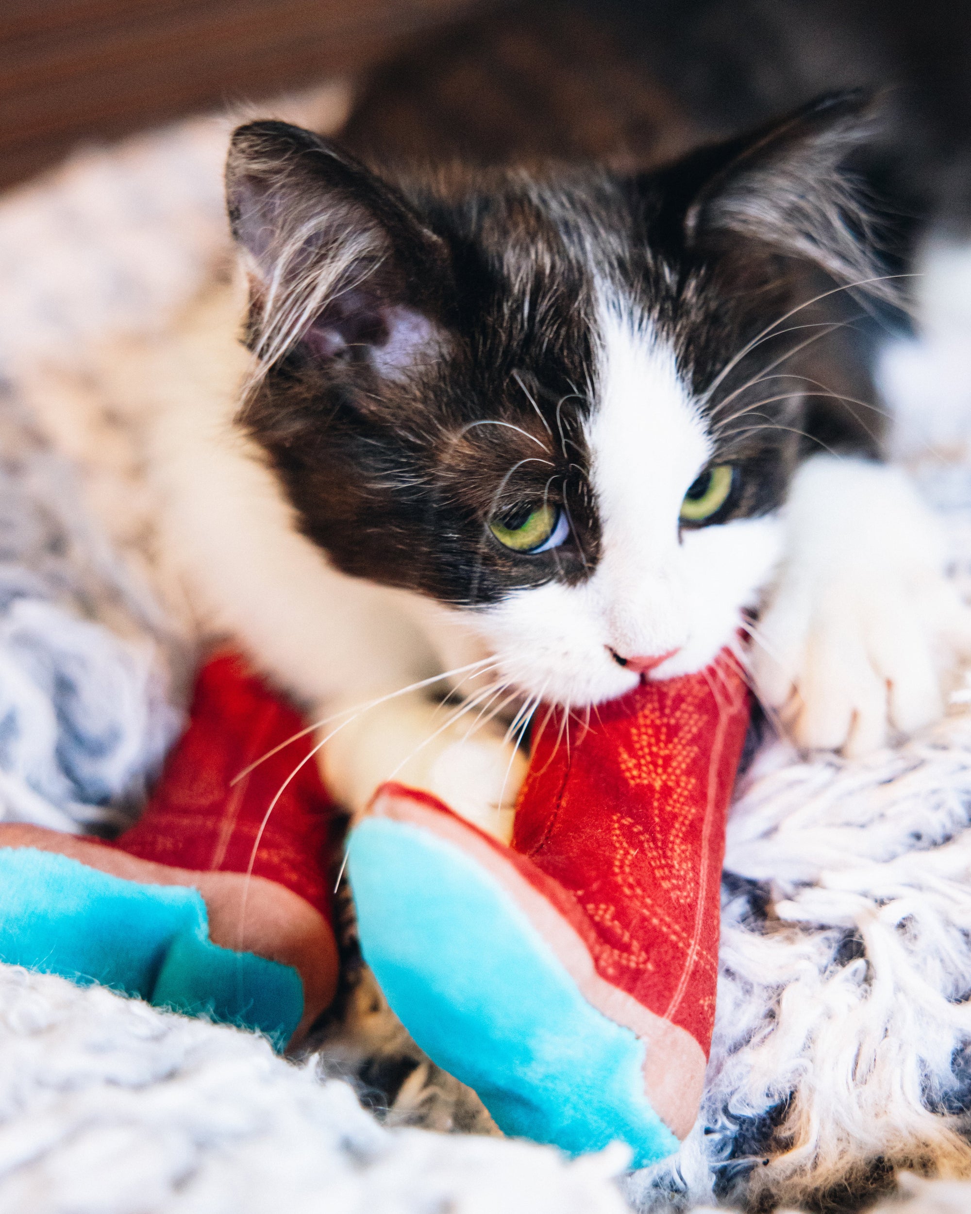 Meowdy Partner - Boot Cat Toy with Catnip